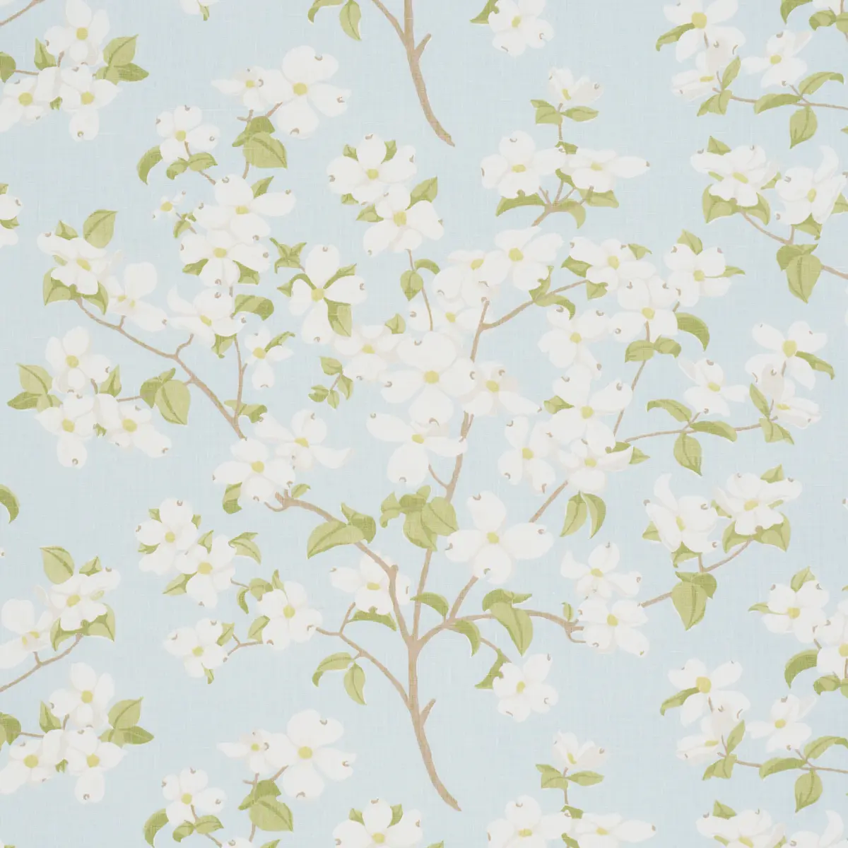 BLOOMING BRANCH_ SKY