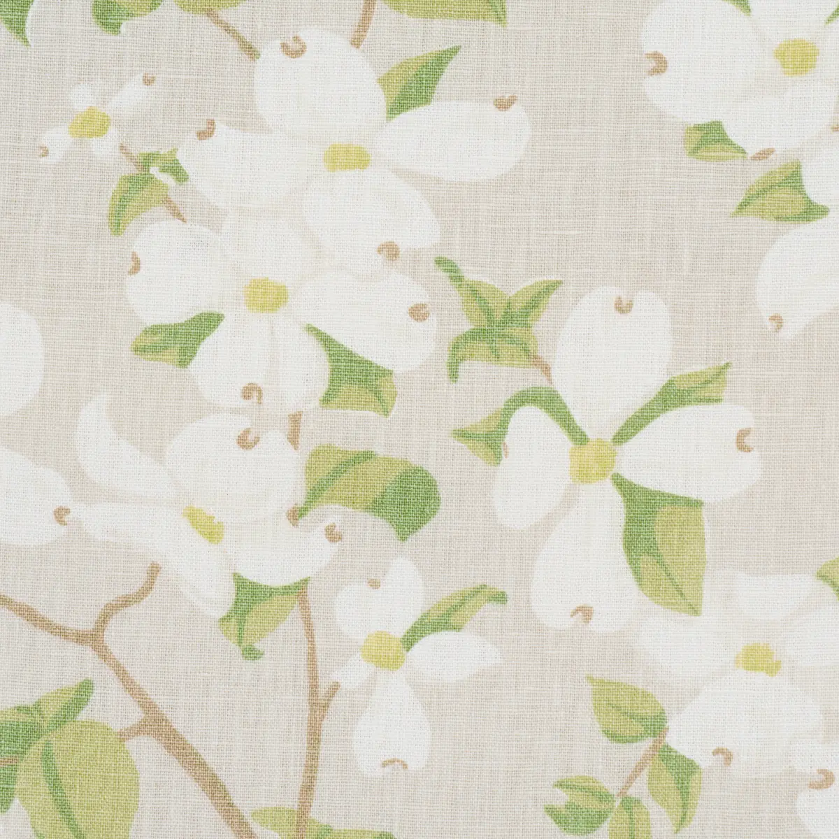 BLOOMING BRANCH_ DOVE