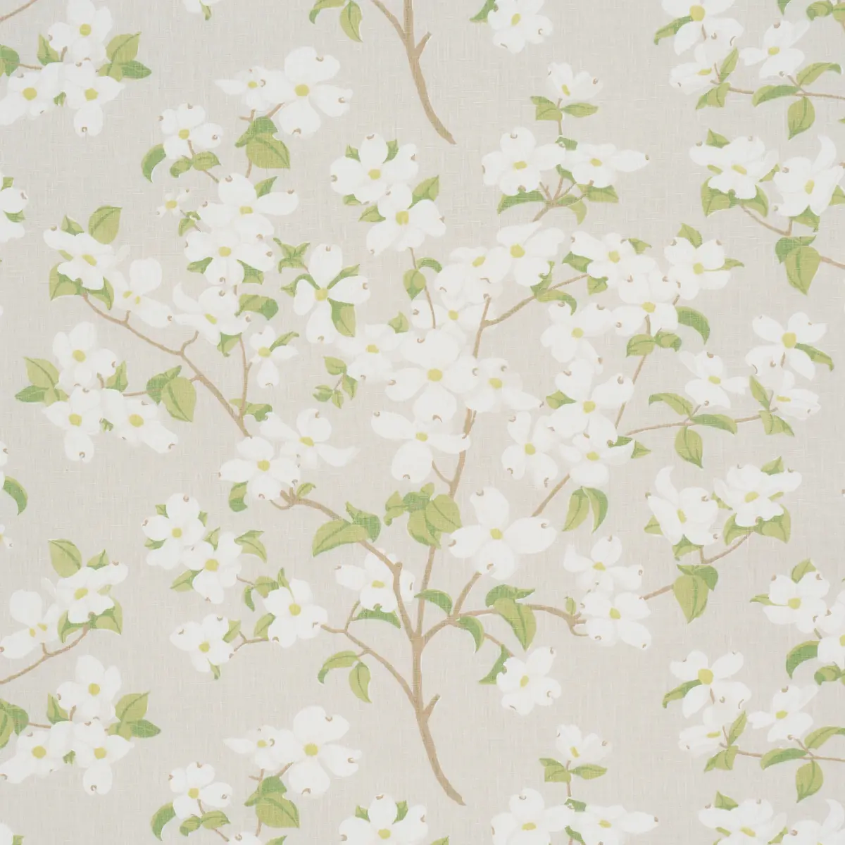 BLOOMING BRANCH_ DOVE