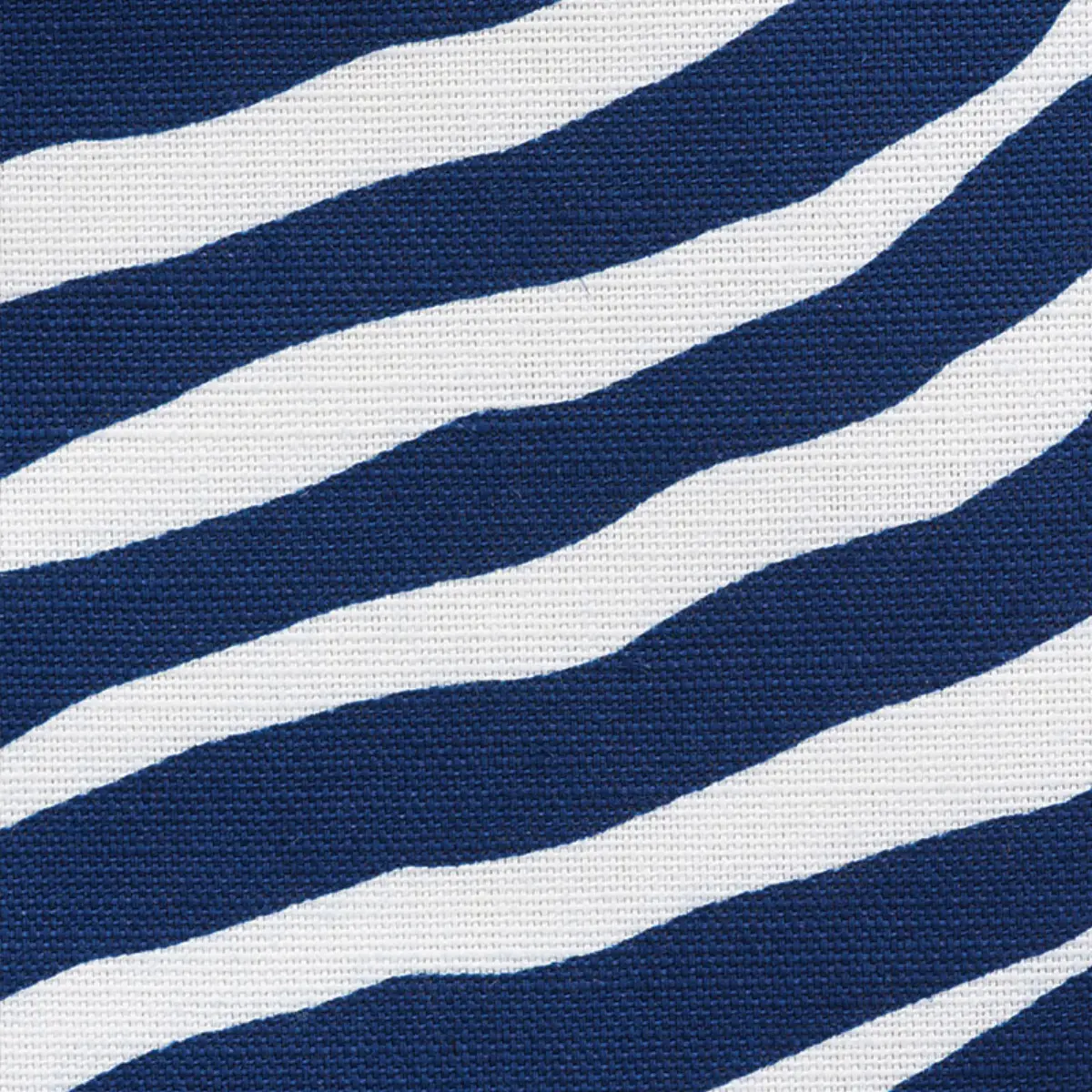 ICONIC ZEBRA_ BLUE