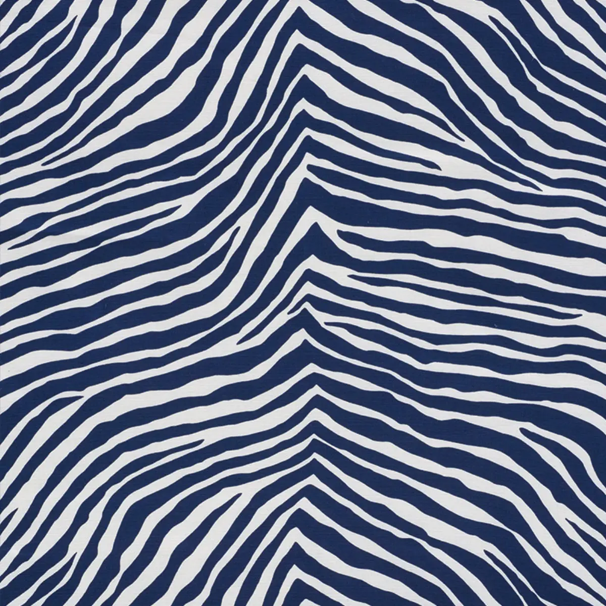 ICONIC ZEBRA_ BLUE