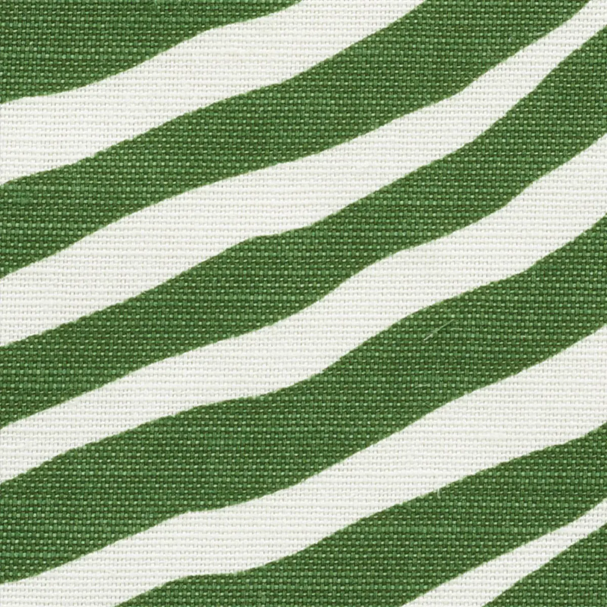 ICONIC ZEBRA_ GREEN