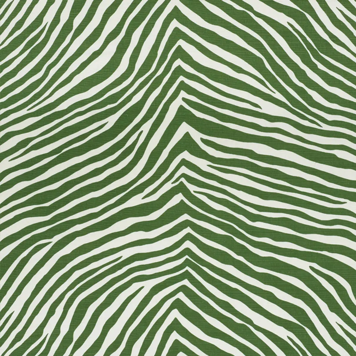 ICONIC ZEBRA_ GREEN