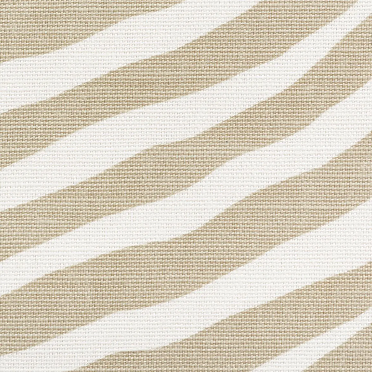 ICONIC ZEBRA_ NATURAL