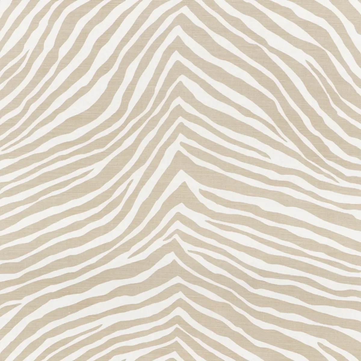 ICONIC ZEBRA_ NATURAL
