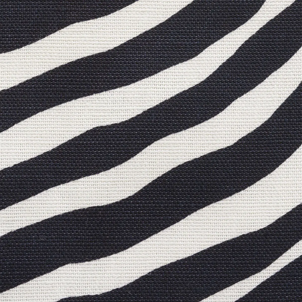 ICONIC ZEBRA_ BLACK
