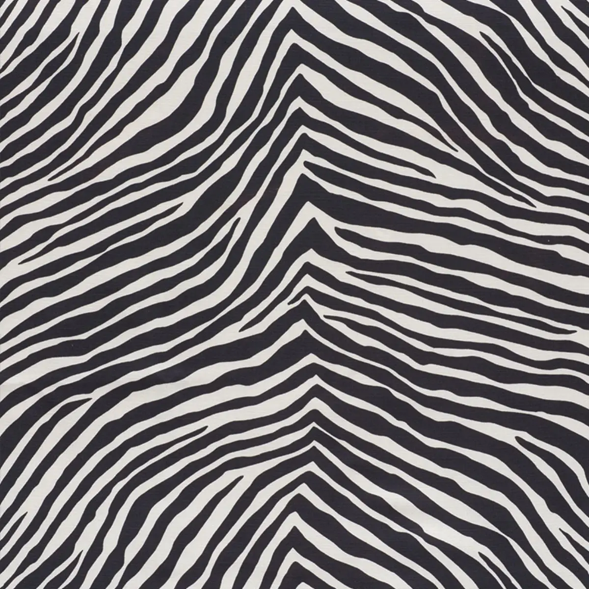 ICONIC ZEBRA_ BLACK