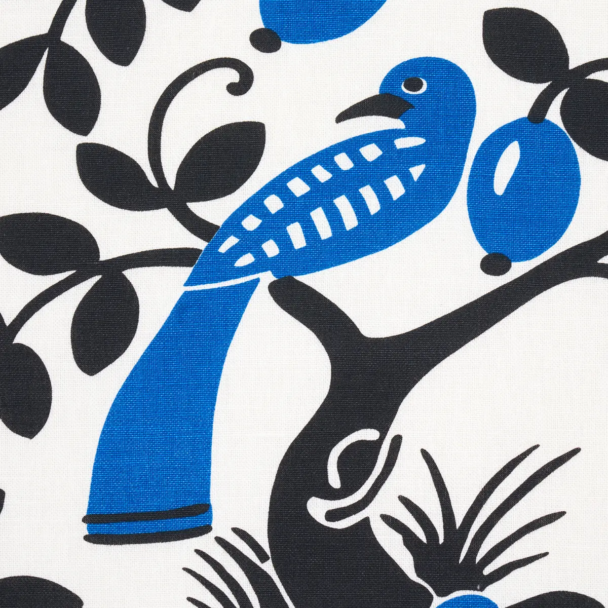 OLIVE TREE_ BLACK & BLUE