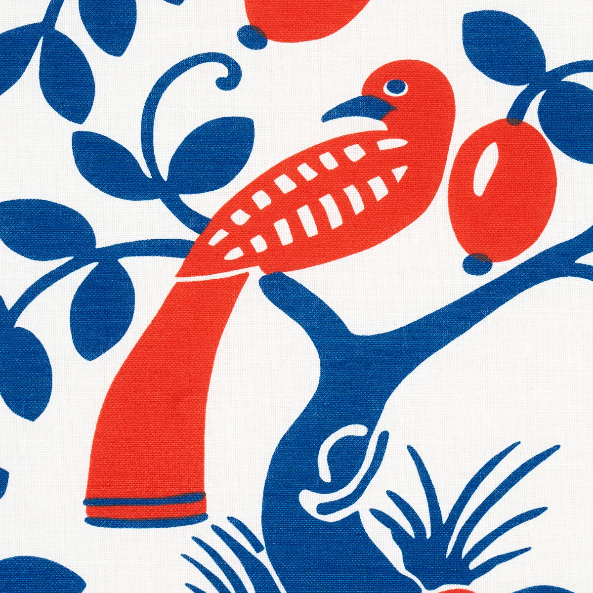 OLIVE TREE_ BLUE & RED