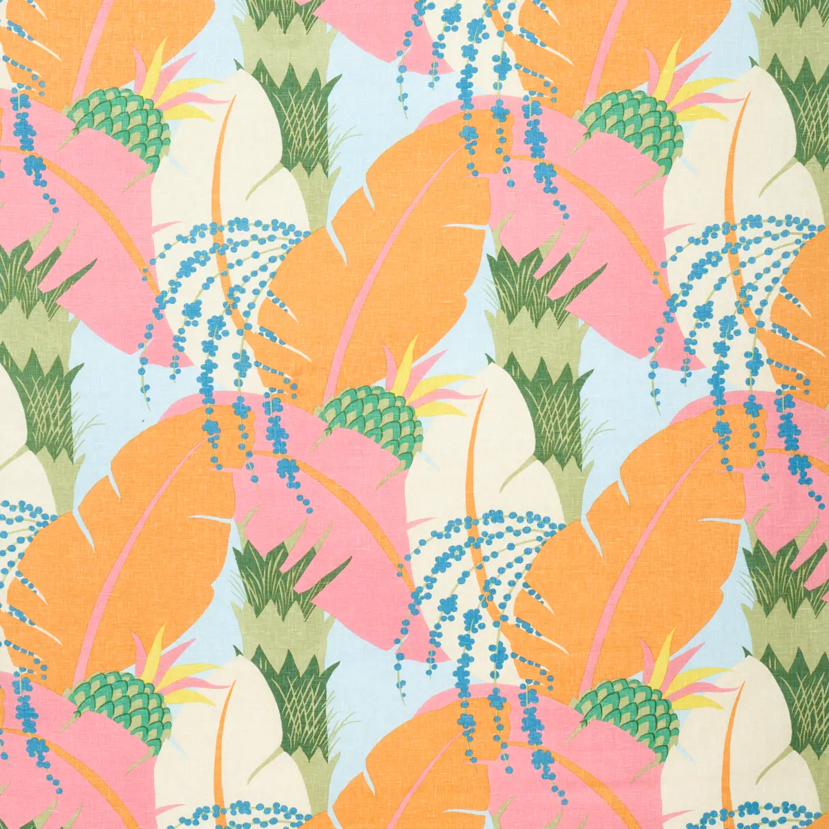 ANANAS_ TROPICAL