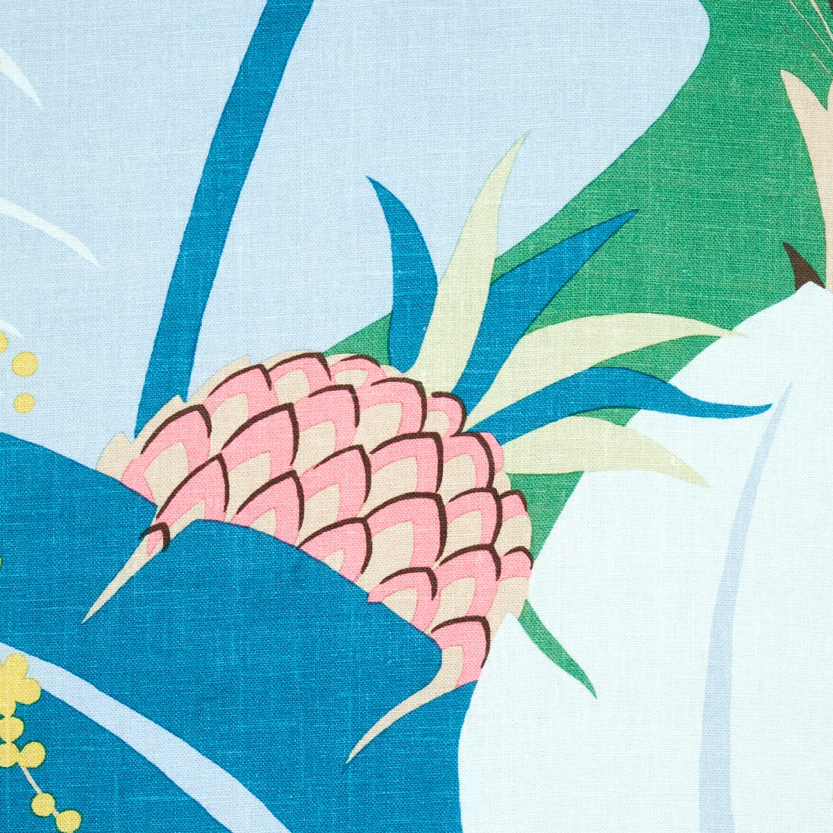 Ananas_ PEACOCK