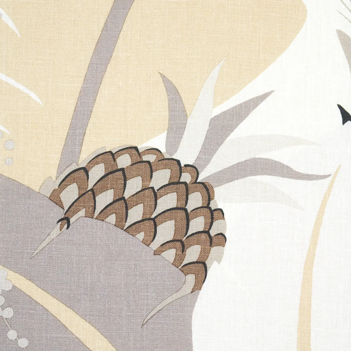 Ananas_ NEUTRAL