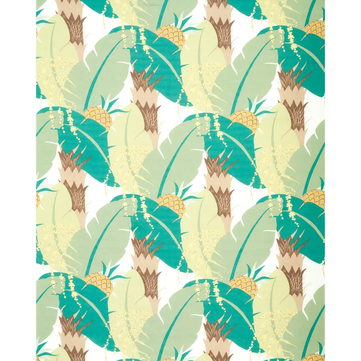 Ananas_ PALM