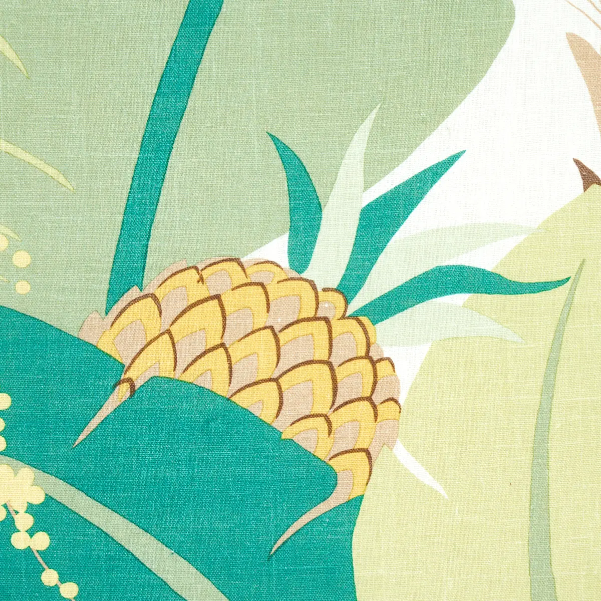 Ananas_ PALM