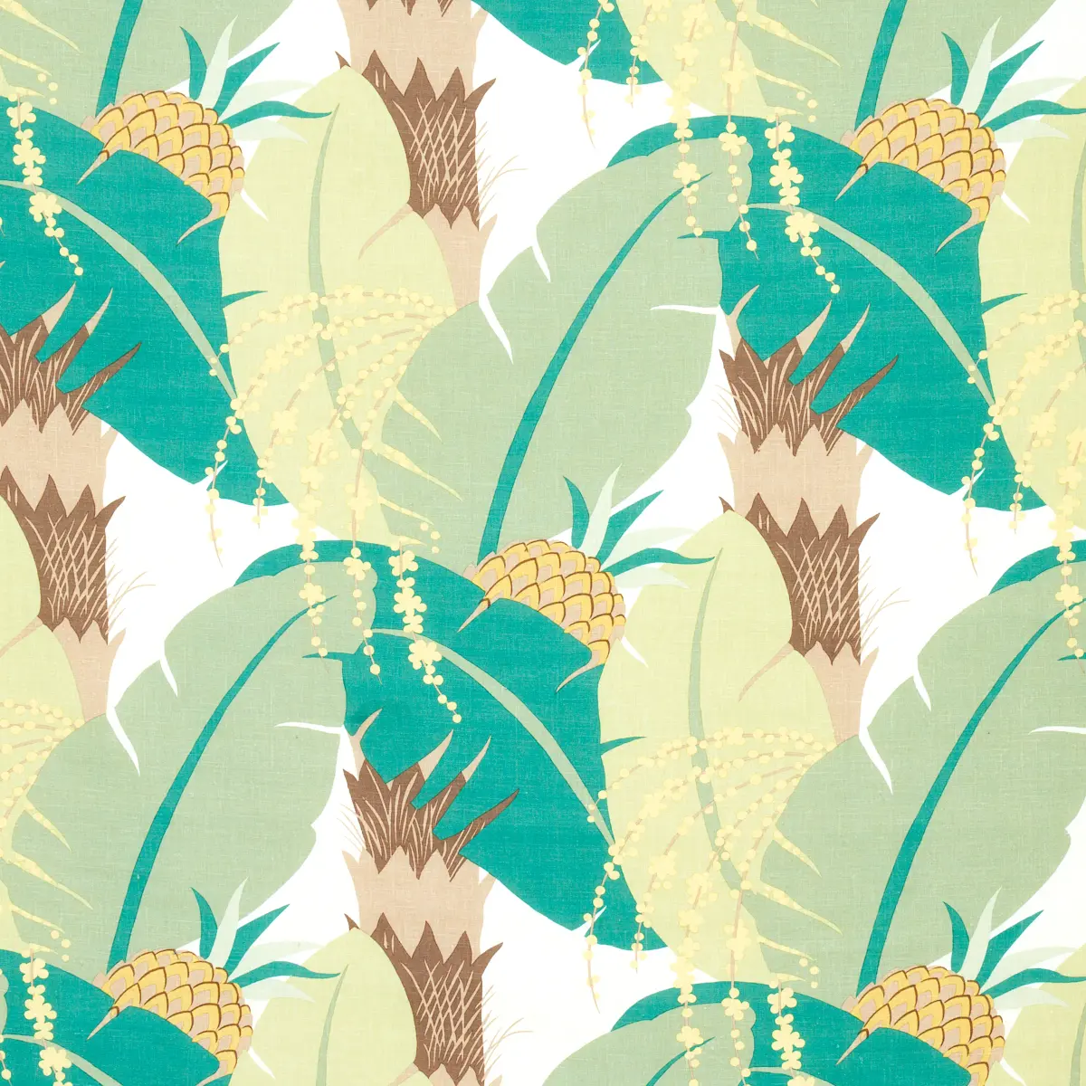 Ananas_ PALM