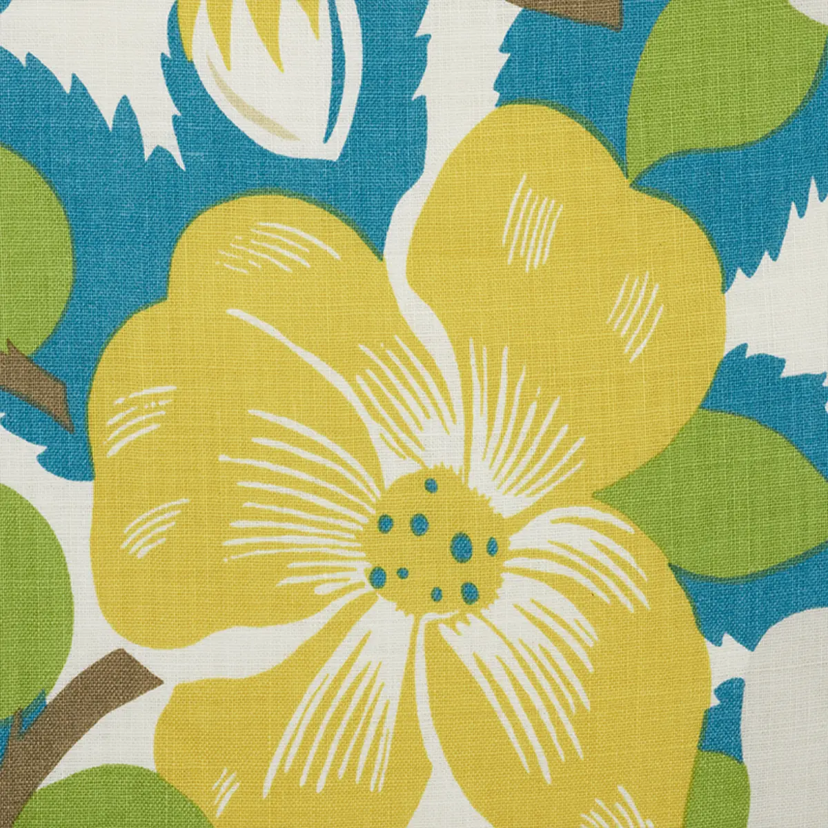 MAGNOLIAS_ CITRON & PEACOCK