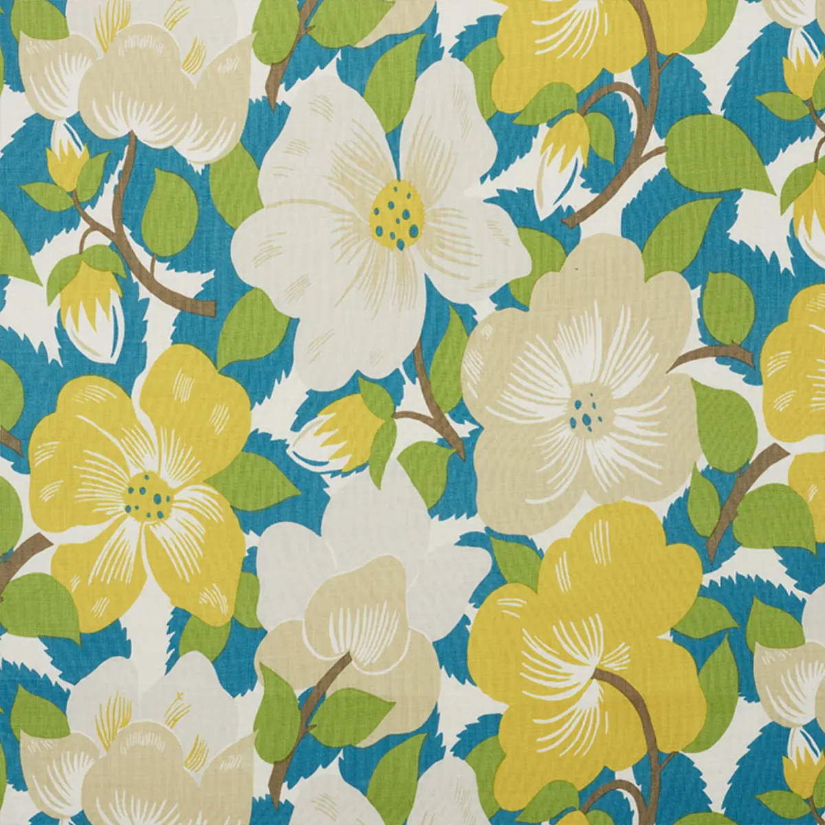 MAGNOLIAS_ CITRON & PEACOCK