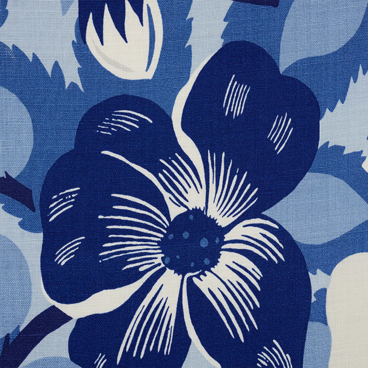 MAGNOLIAS_ BLUES