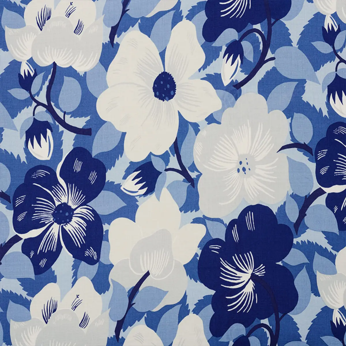 MAGNOLIAS_ BLUES