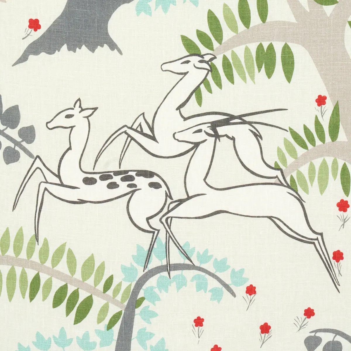 ANTELOPES_ IVORY