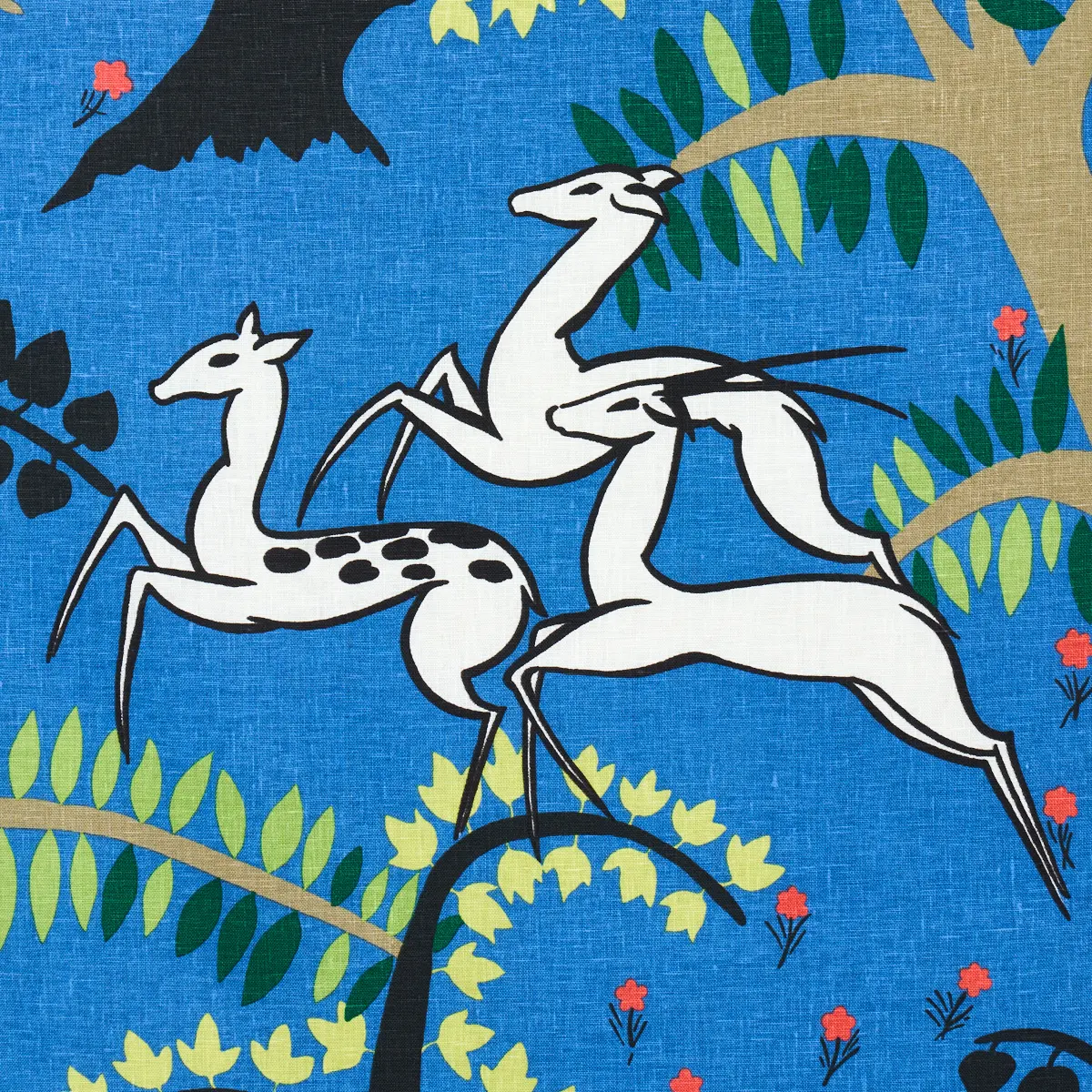 ANTELOPES_ COBALT
