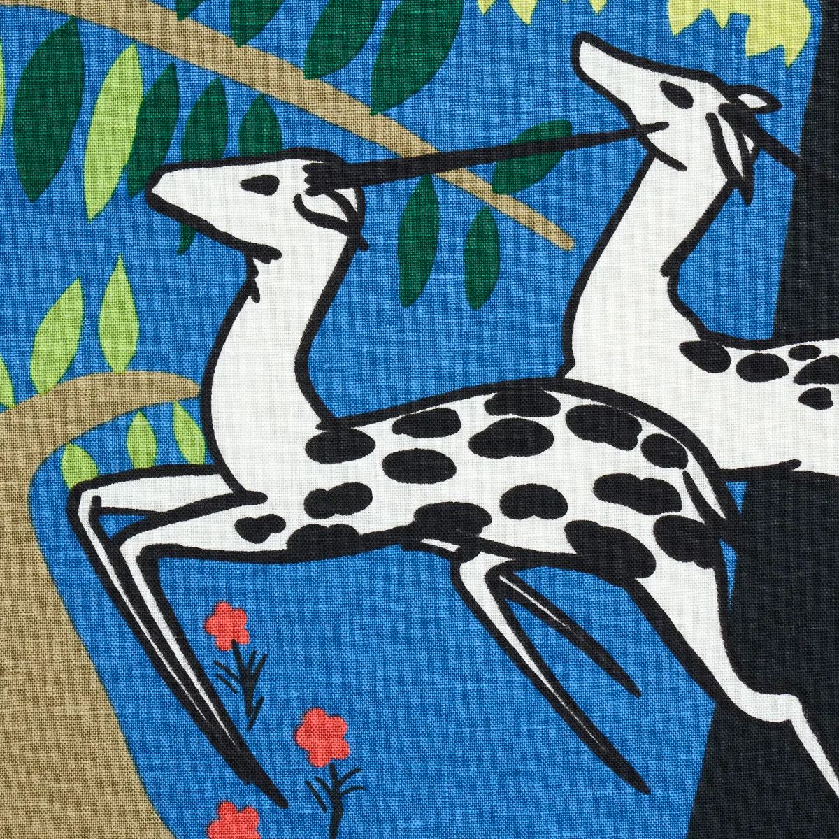 ANTELOPES_ COBALT