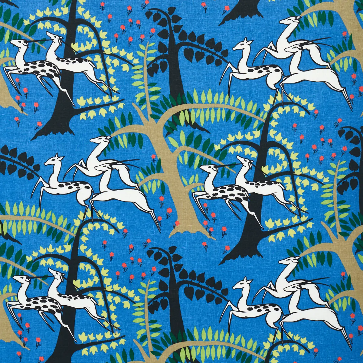 ANTELOPES_ COBALT