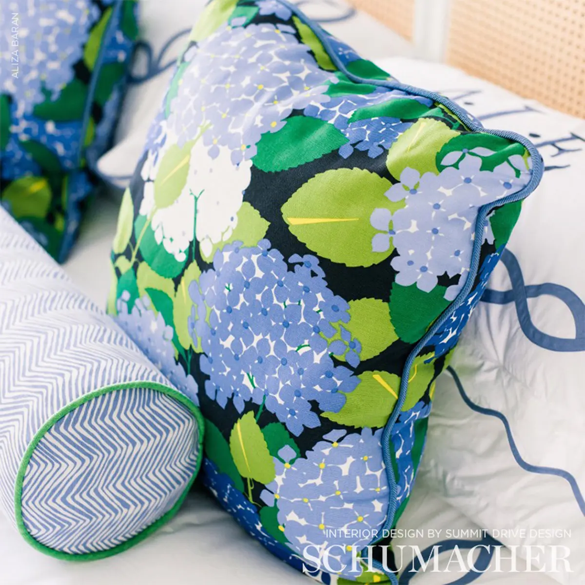 HYDRANGEA_ DOCUMENT
