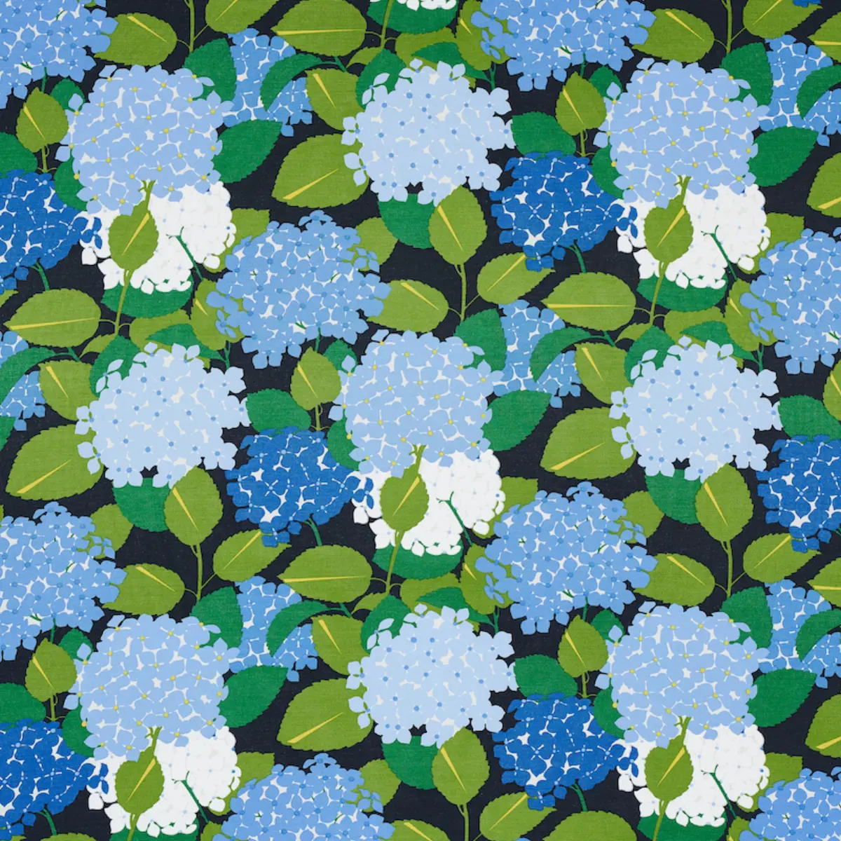 HYDRANGEA_ DOCUMENT