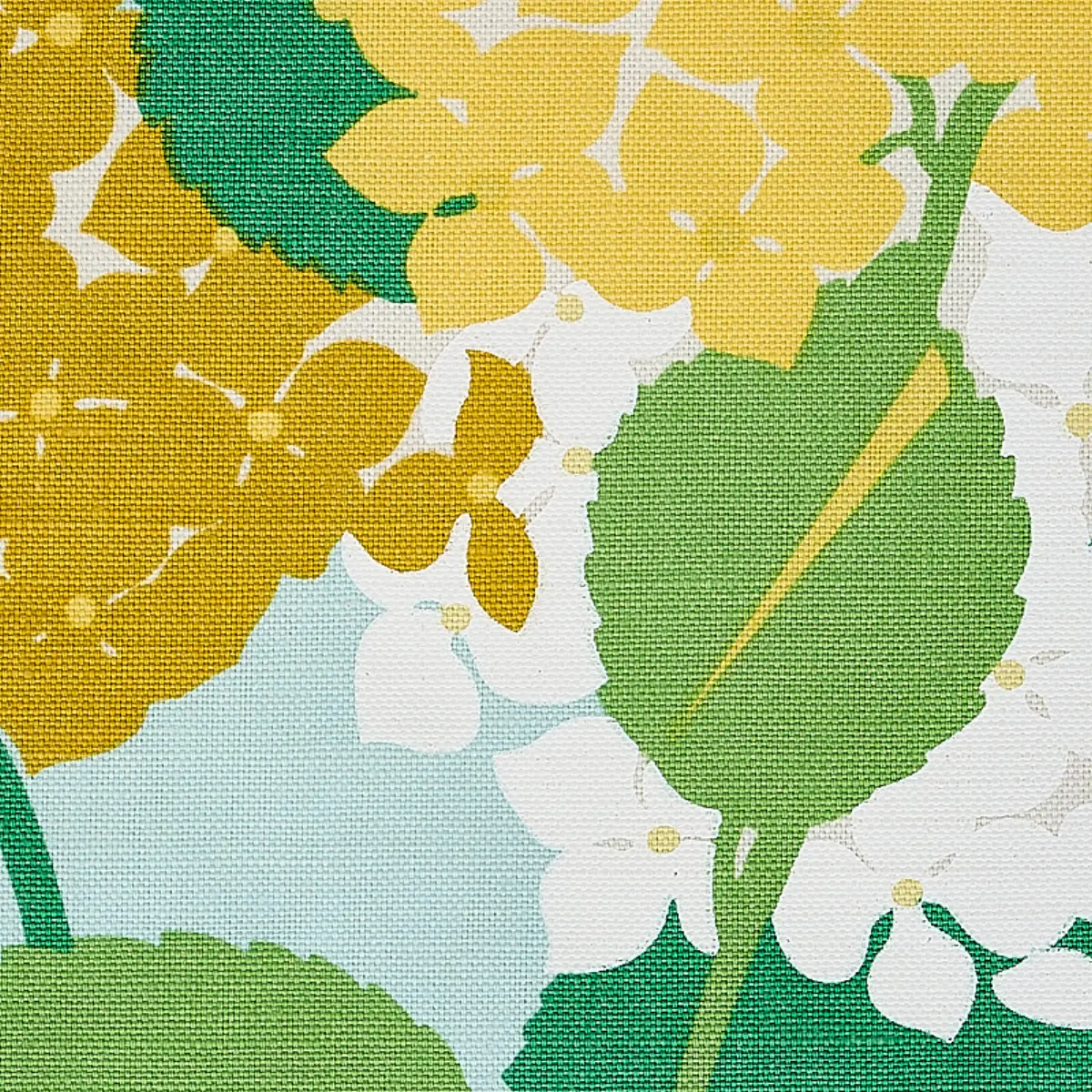HYDRANGEA_ YELLOW