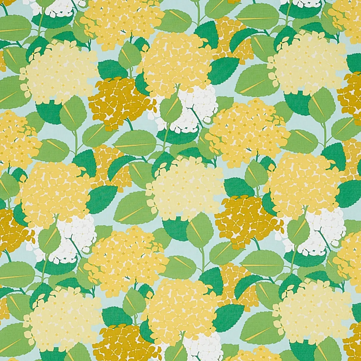 HYDRANGEA_ YELLOW