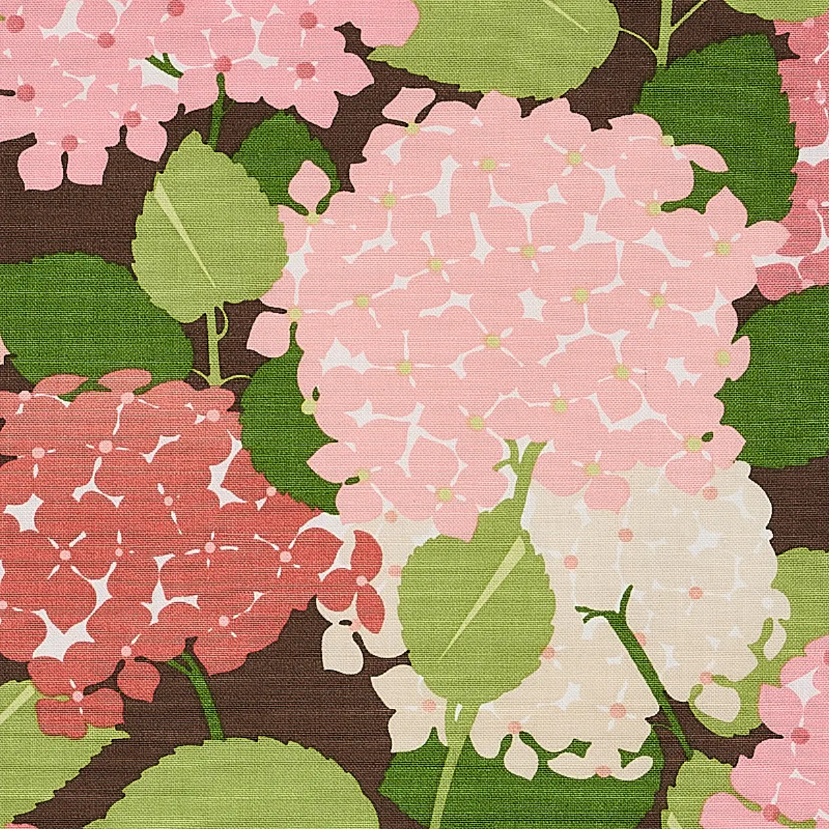 HYDRANGEA_ PINK