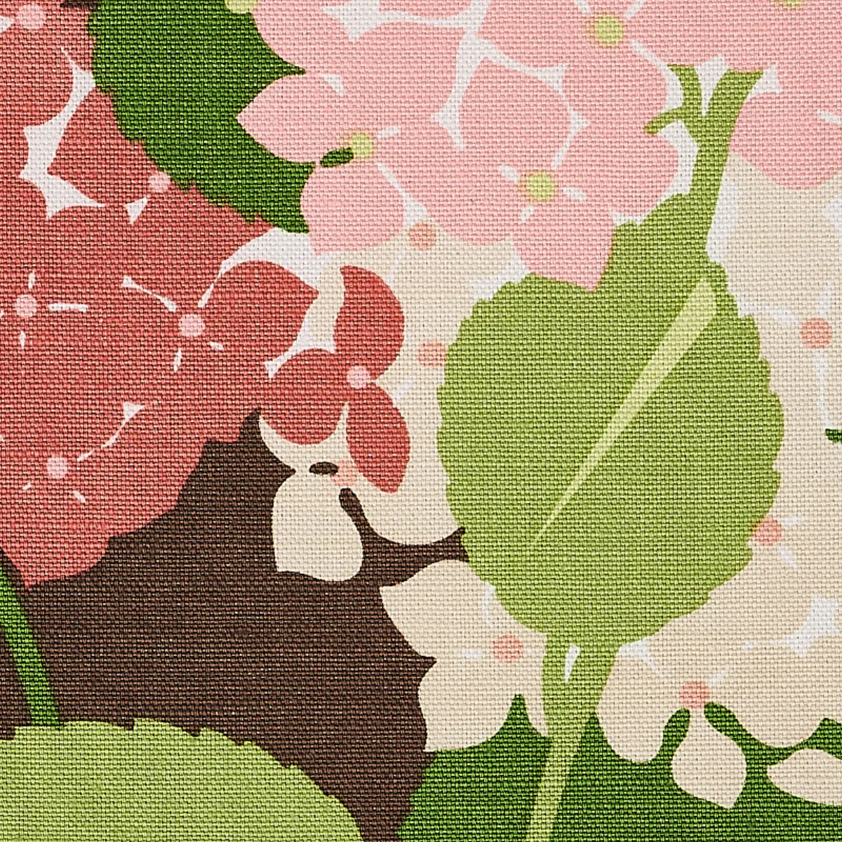 HYDRANGEA_ PINK