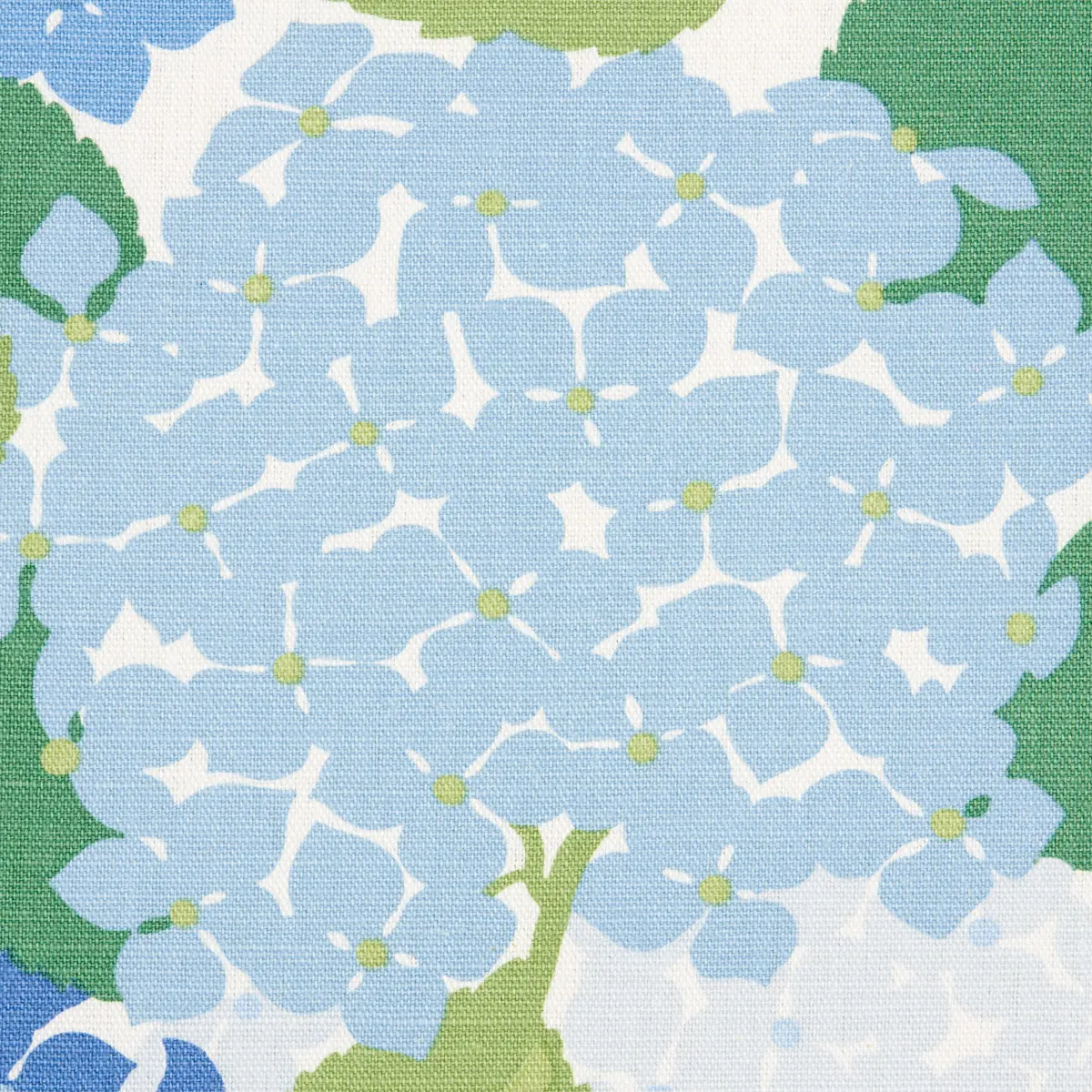 HYDRANGEA_ PORCELAIN