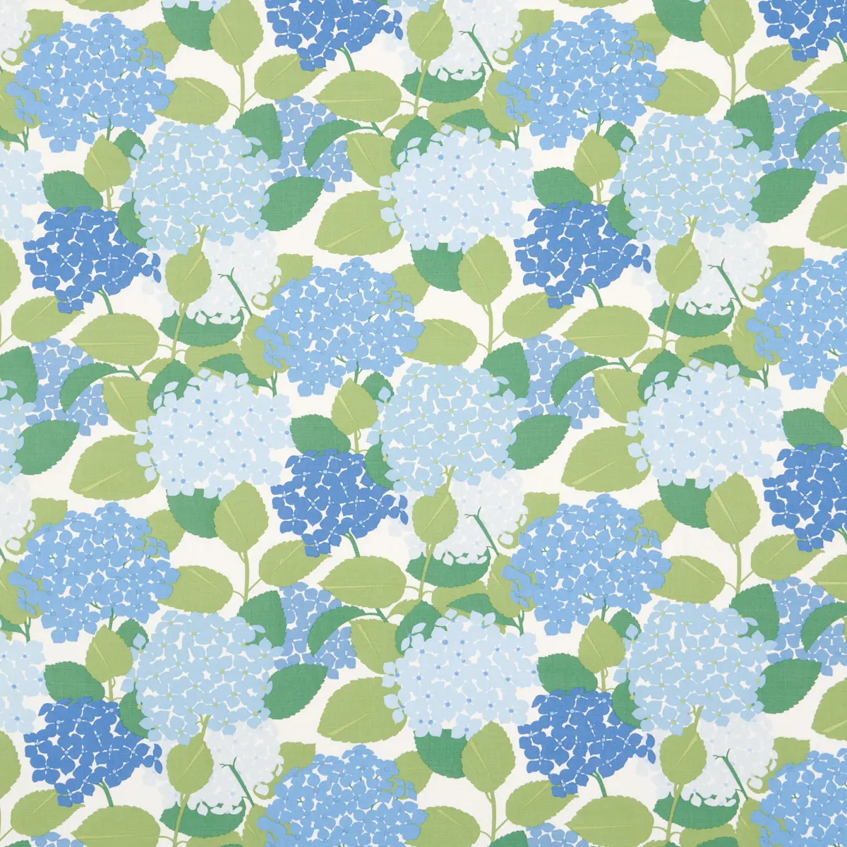 HYDRANGEA_ PORCELAIN