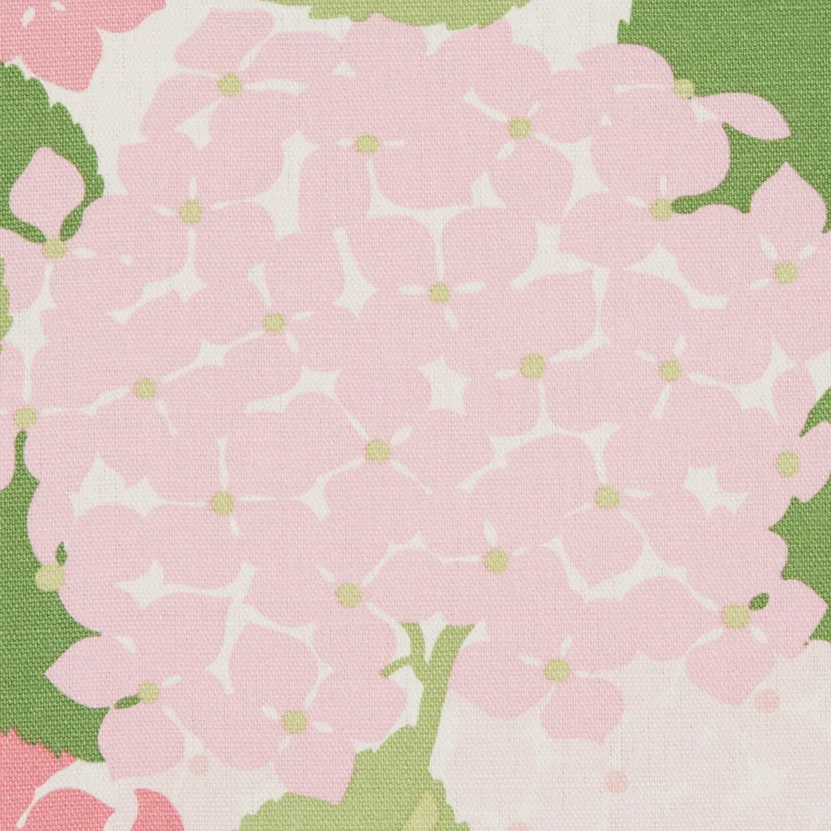 HYDRANGEA_ PETAL