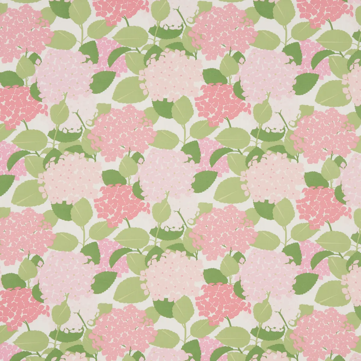 HYDRANGEA_ PETAL