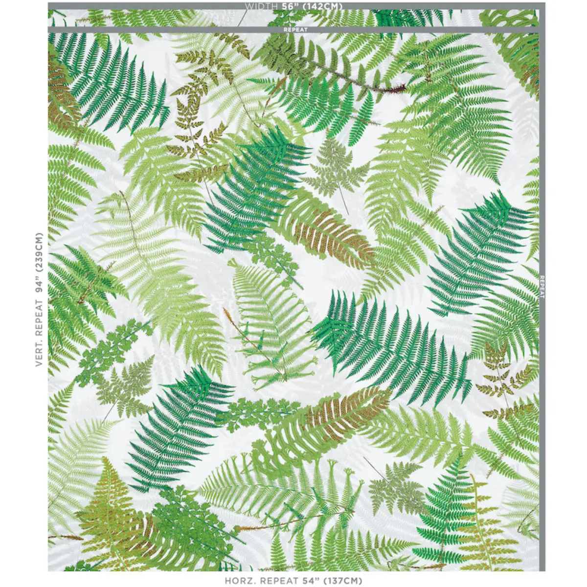 FERNARIUM_ GREEN & IVORY