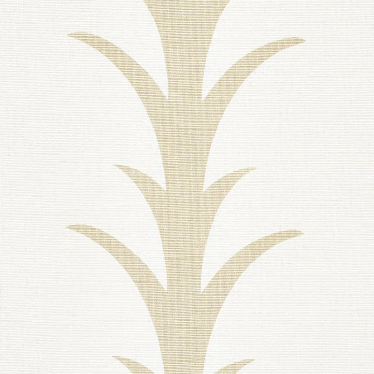 ACANTHUS STRIPE_ SAND