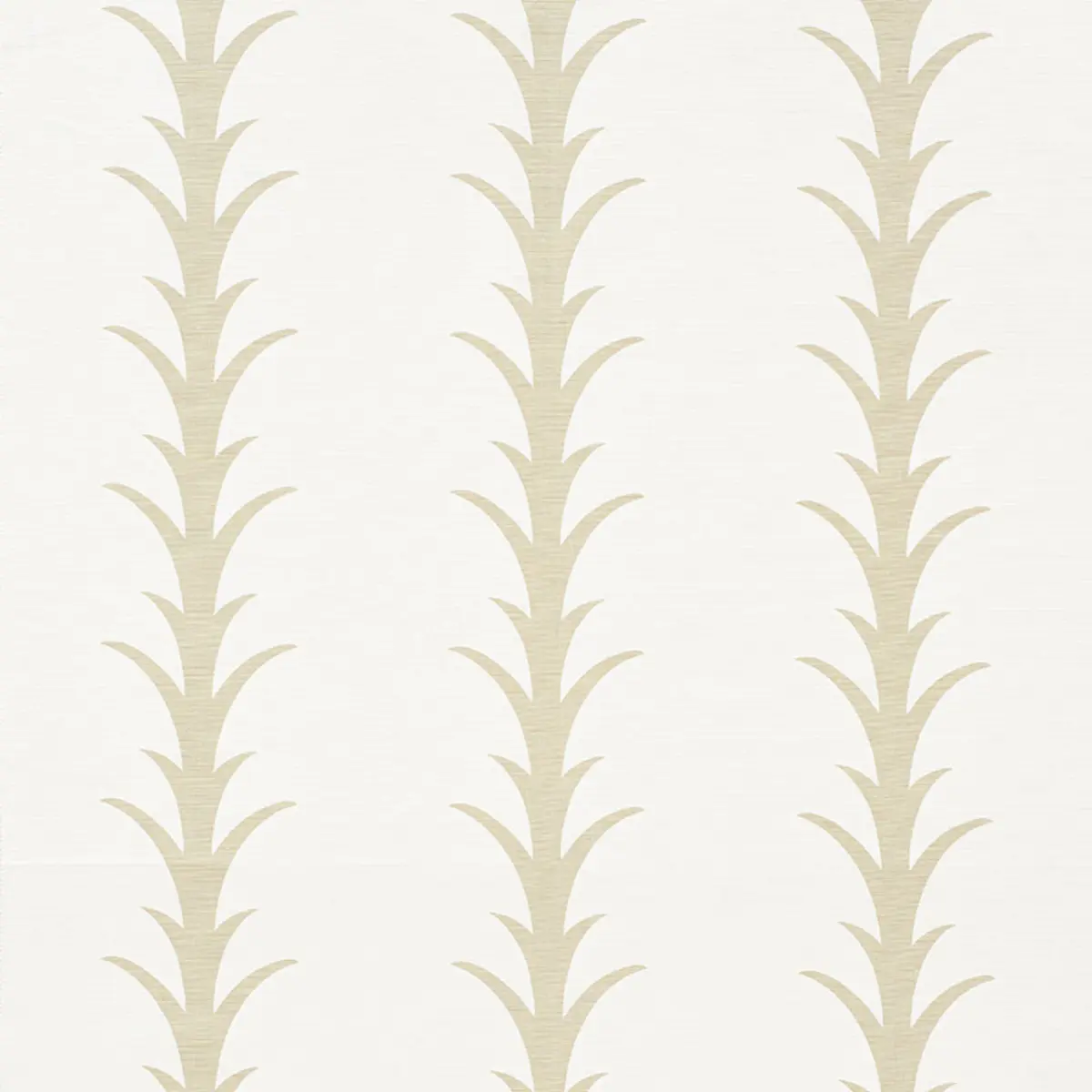 ACANTHUS STRIPE_ SAND