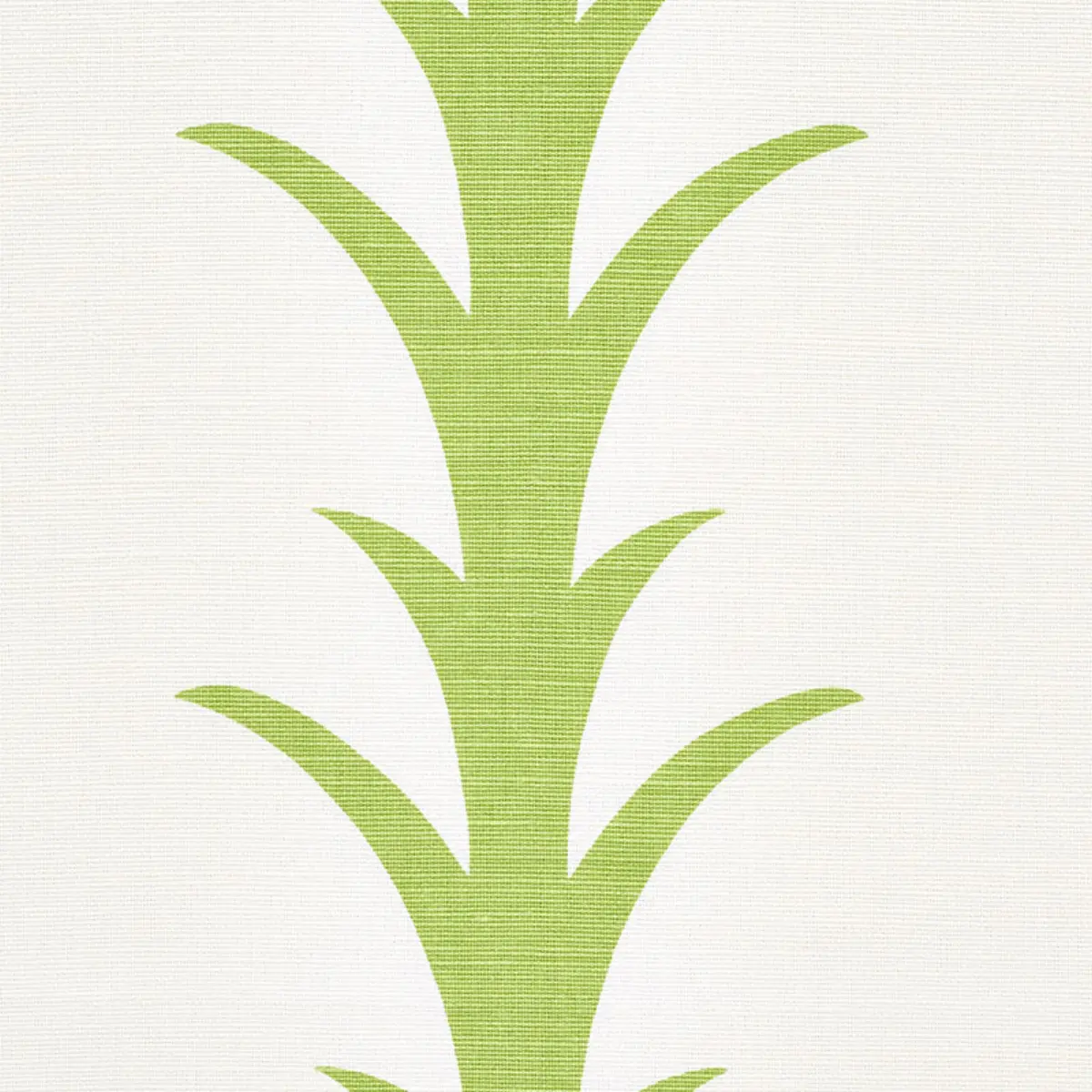ACANTHUS STRIPE_ LEAF