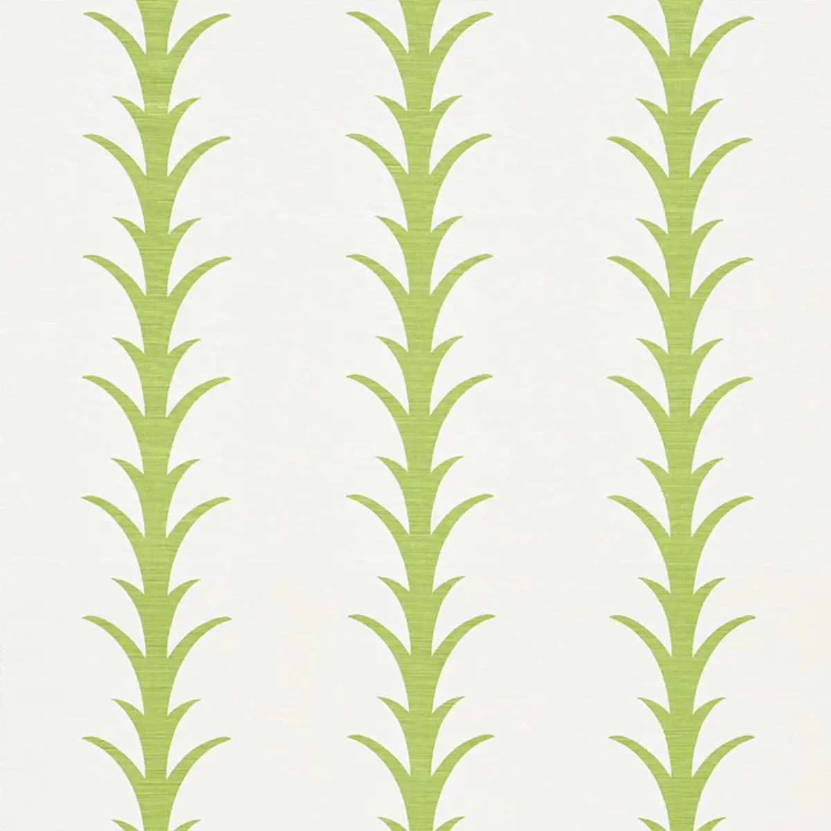 ACANTHUS STRIPE_ LEAF