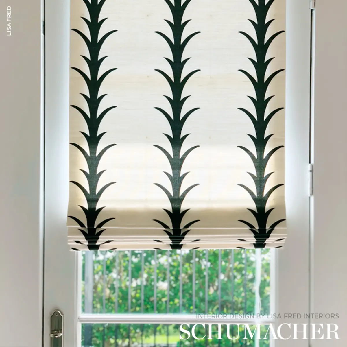 ACANTHUS STRIPE_ CARBON