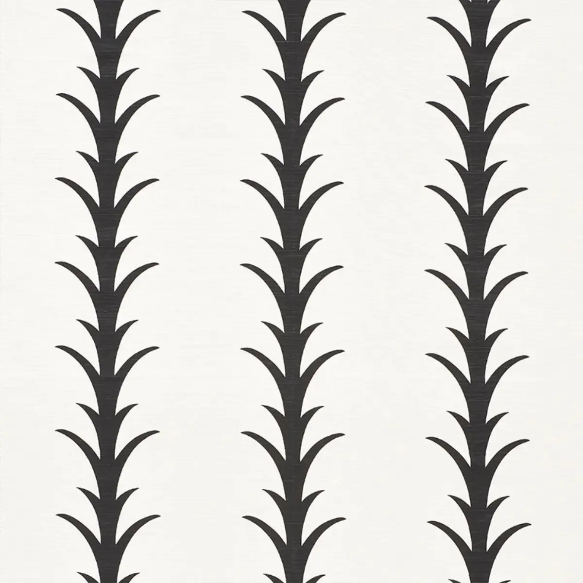 ACANTHUS STRIPE_ CARBON