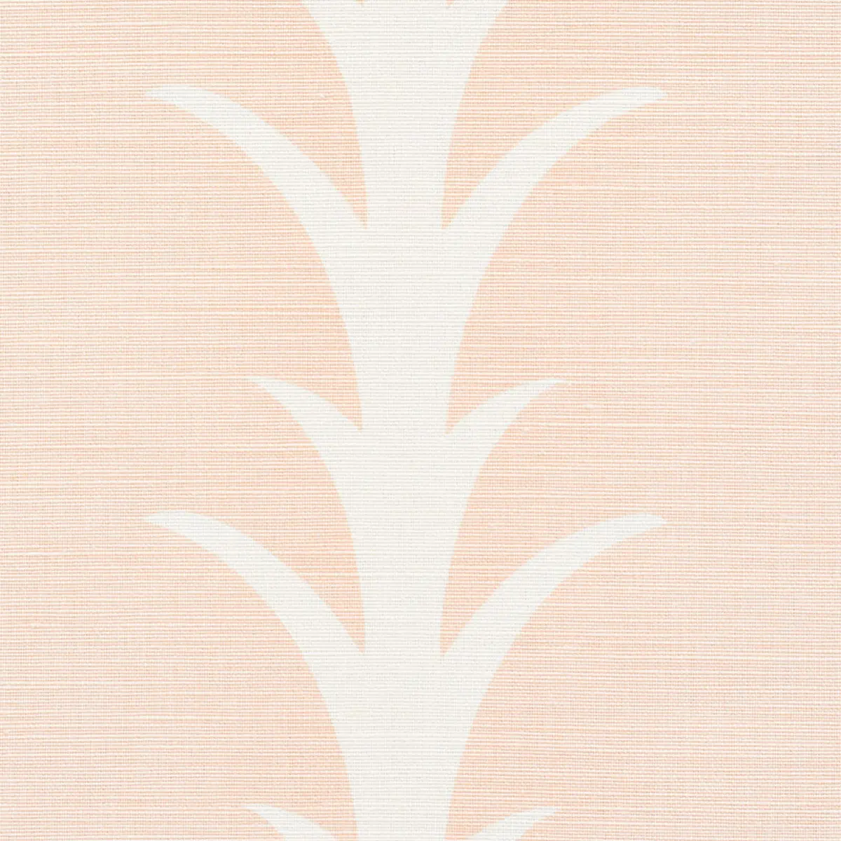 ACANTHUS STRIPE_ BLUSH
