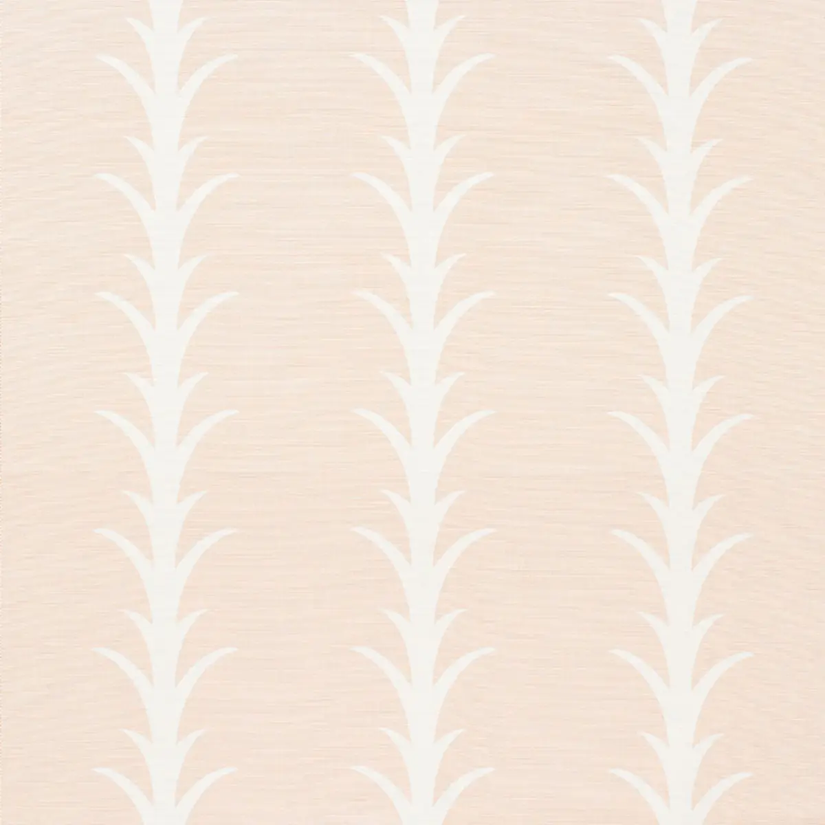 ACANTHUS STRIPE_ BLUSH
