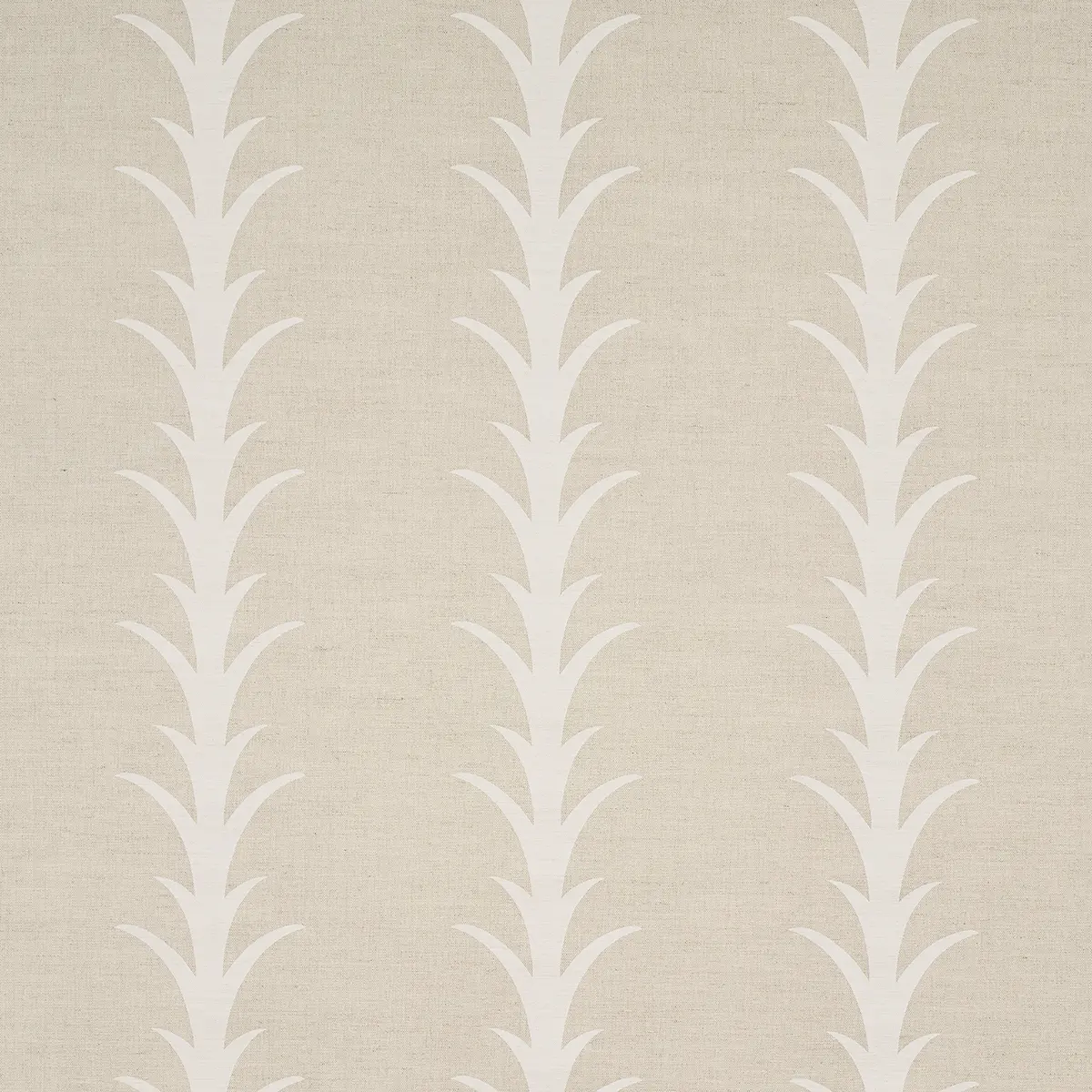 ACANTHUS STRIPE_ NATURAL