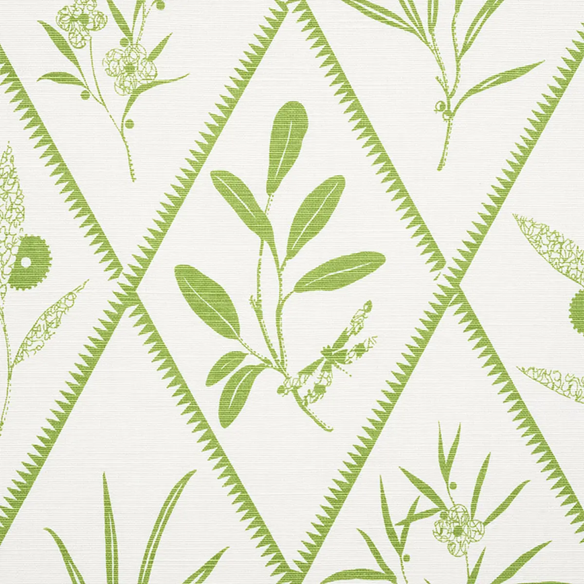 Endimione_ LEAF