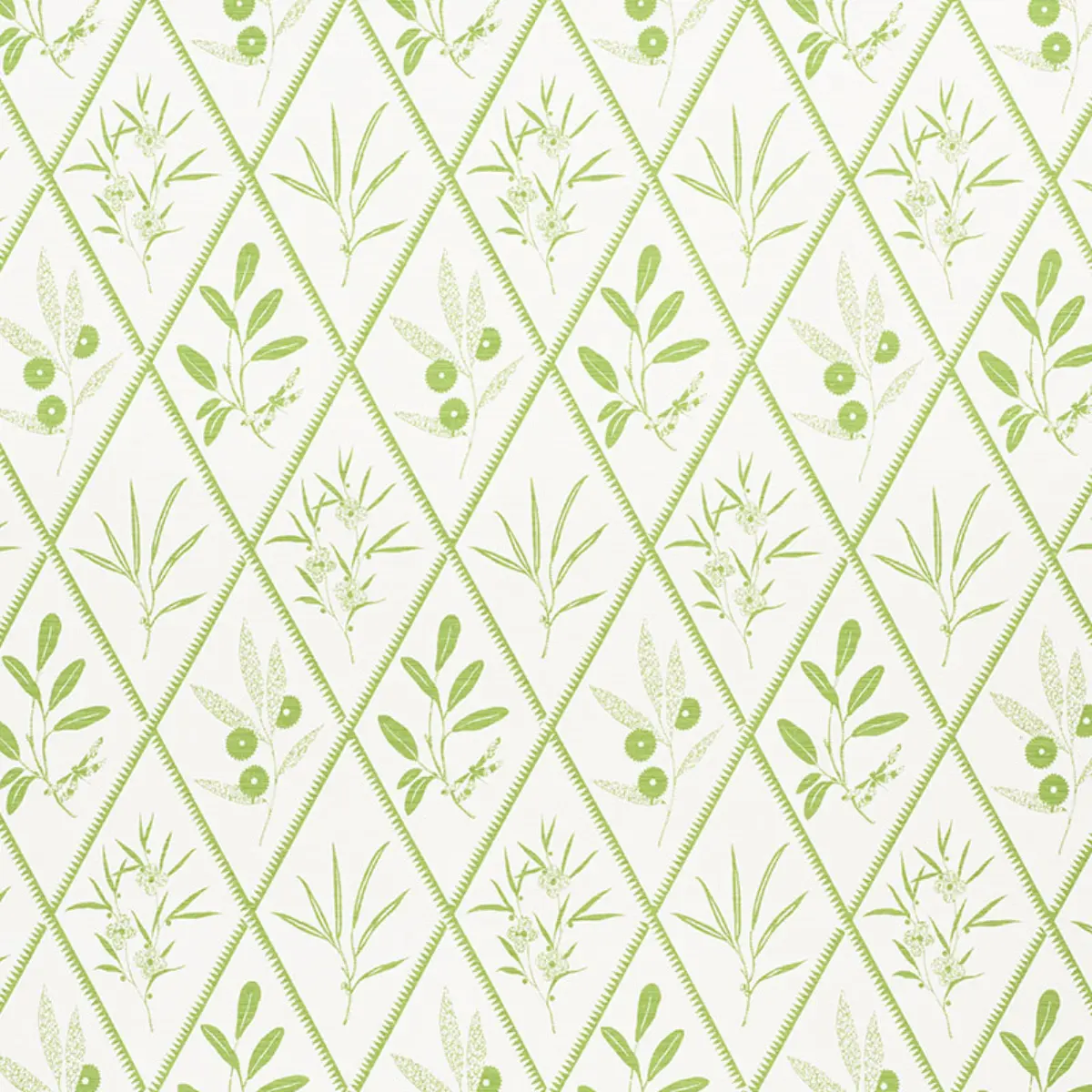 Endimione_ LEAF