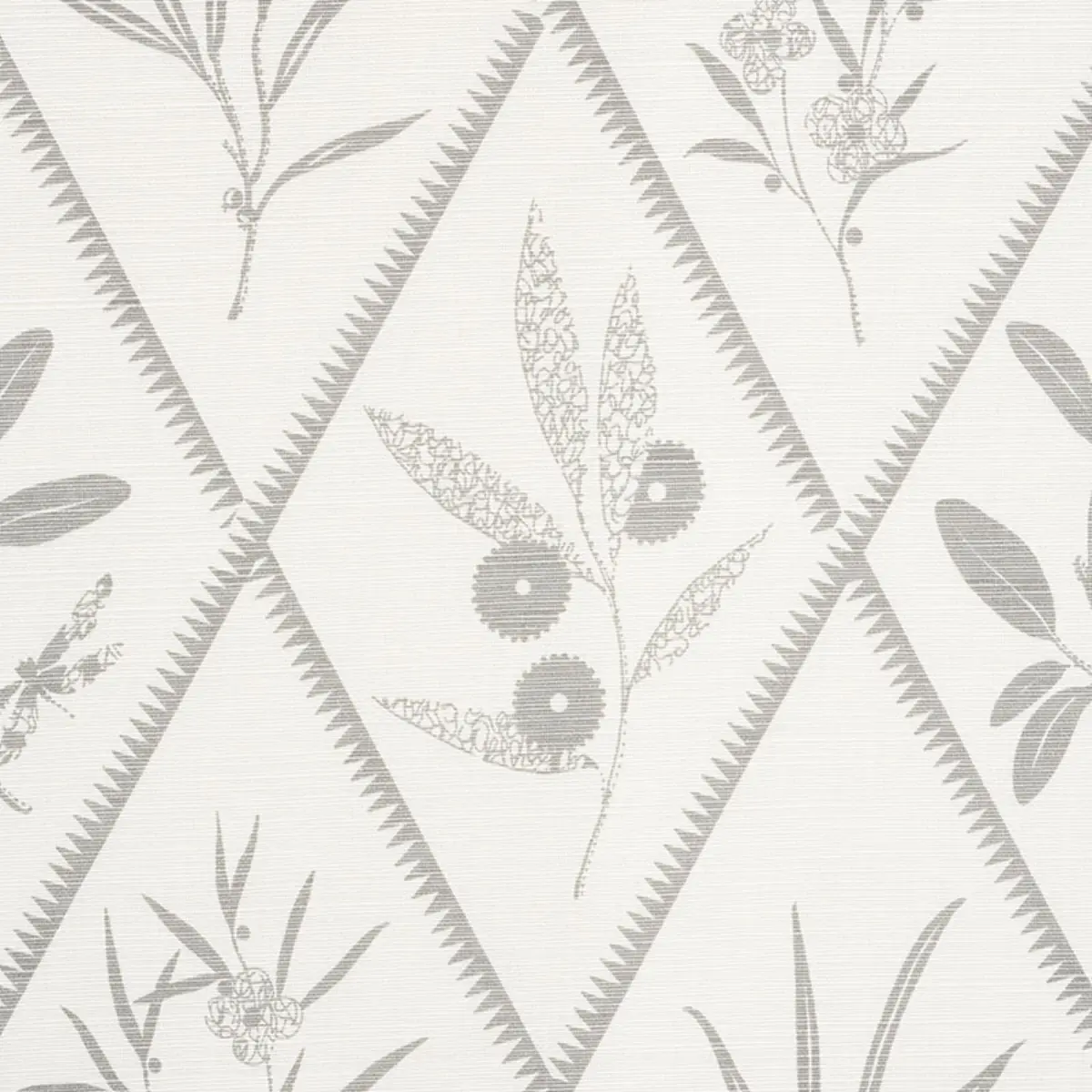 Endimione_ GREY